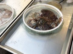 -营口金泰珑悦海景大酒店