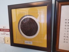 -大可堂普洱茶馆(襄阳南路馆)