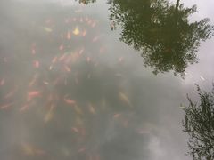 -羊亭河湿地公园