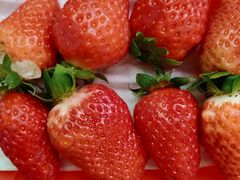 -神农美特好生鲜超市(三墙店)