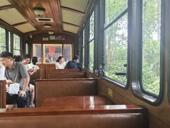 -合肥滨湖国家森林公园