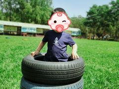 -草根堂农场