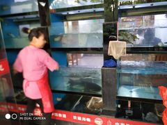 -全乐鱼馆·淳牌有机鱼直营店