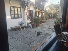 -小河无名面馆