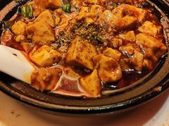 -陈麻婆豆腐总店