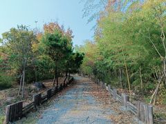 -南京市无想山景区