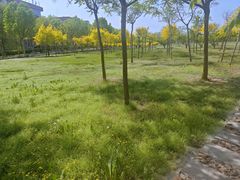 -南开大学(津南校区)