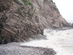-花岙岛
