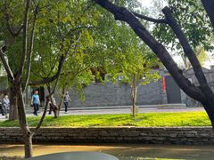 -春风习习