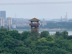 -张坝桂圆林公园
