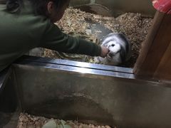 -上海昆虫博物馆