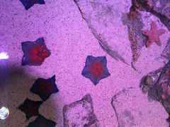 -沈阳海洋探索中心