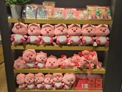 -九木杂物社(恒隆广场店)