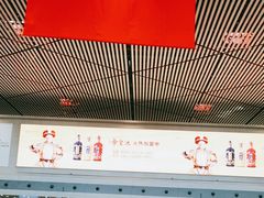 -哈尔滨太平国际机场-T2航站楼