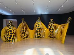 -旧金山现代艺术博物馆