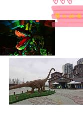 -恐龙探索乐园(磁器口店)