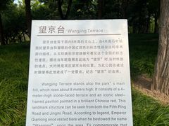 -大望京公园
