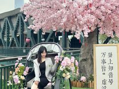 -武汉知音号