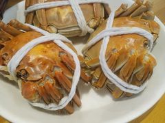 -品鲜村农家菜·阳澄湖大闸蟹(总店)