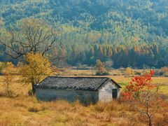 -塔川景区