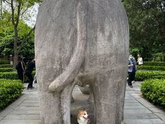 -紫霞湖公园