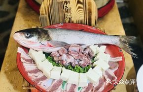 Freshwater Fish