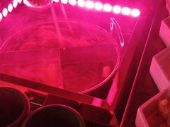 -唱客美食KTV量贩(日新路店)