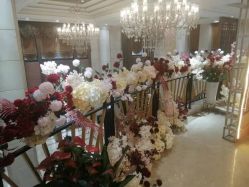 -禾丽康美医疗美容医院