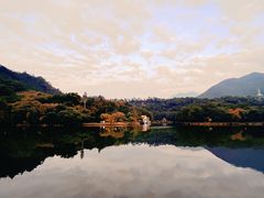 -深圳仙湖植物园