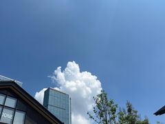 -成都市活水公园