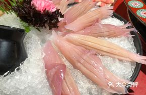 Rocket Squid