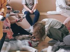 -Husky Go! 哈士奇体验馆·宠物咖啡厅狗咖