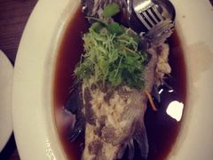 清蒸七星斑-兴旺海鲜砂煲王