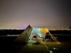 -春花秋色城市公园