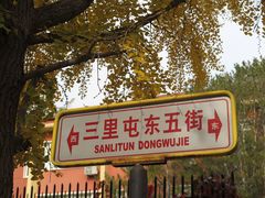-三里屯东五街银杏大道