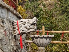 -金龙寺国家森林公园