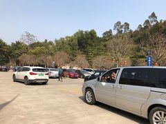 -天鹿湖森林公园