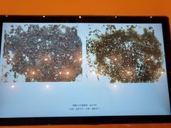 -中国国家博物馆-地上停车场