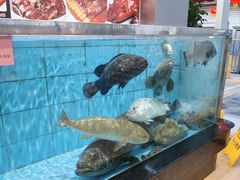 -四海之家(蛇口店)