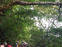 -牛鱼嘴原始生态风景区