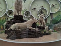 -陕西自然博物馆