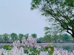 -什刹海