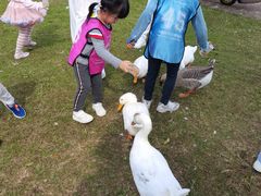 -Club Med地中海俱乐部·桂林度假村