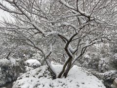 -杭州半山国家森林公园