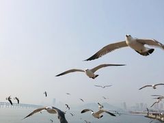 -星海广场