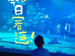 -烟台海昌鲸鲨海洋公园