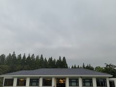 -棕榈岛海鲜自助餐厅(虹桥迎宾馆店)