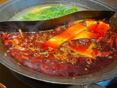 -阳阳老火锅(小南门店)