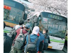 -上海南浦大桥长途旅游客运站
