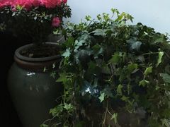 -苏州文旅花间堂·探花府酒店